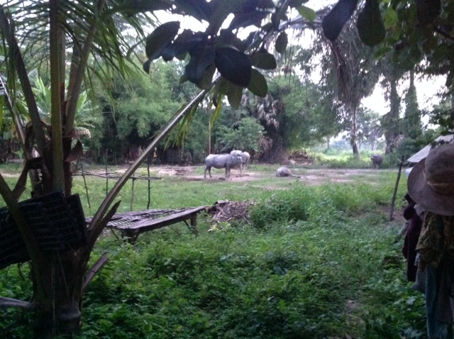 Out in the Villages, Many of these people rely on farming